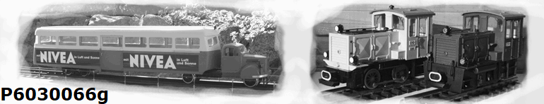 P6030066g
