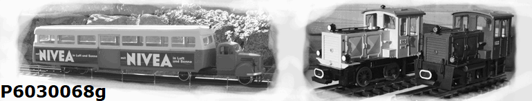 P6030068g