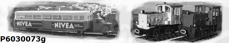 P6030073g