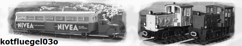 kotfluegel03o