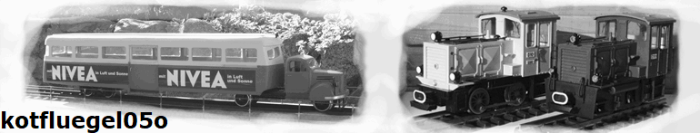 kotfluegel05o