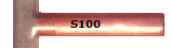 S100